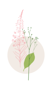 Fireweed and Leaf Graphic Illustration